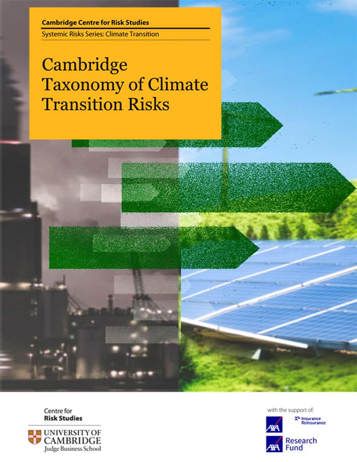 Taxonomy of Climate Transition Risks